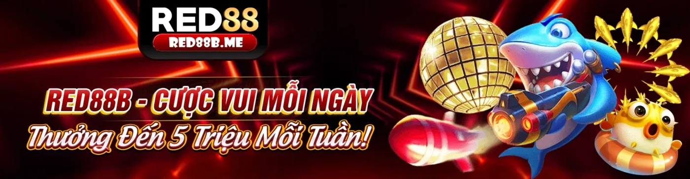 Hình ảnh đại diện chính sách bảo mật New88inh 2026